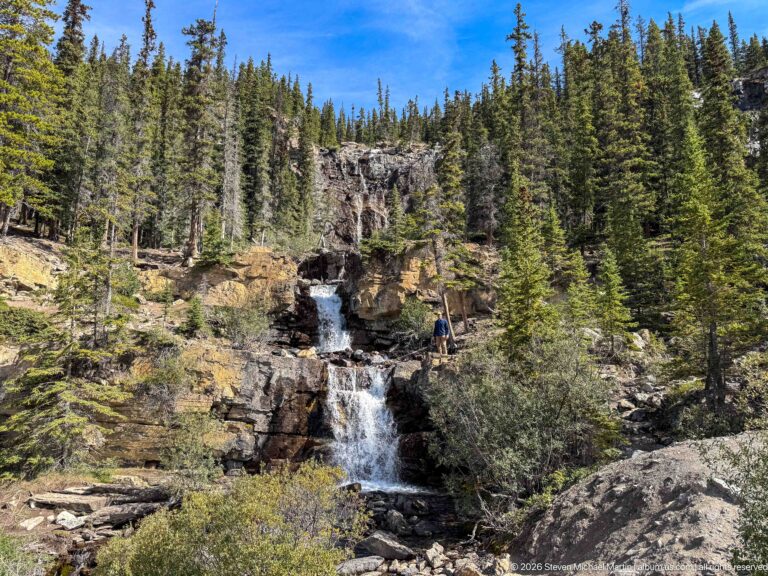 A white cascade falls through a dark rock cleft surrounded by conifers and low vegetation.