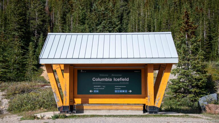 A timber-framed shelter with a sign reading Columbia Icefield stands against dense conifer forest.