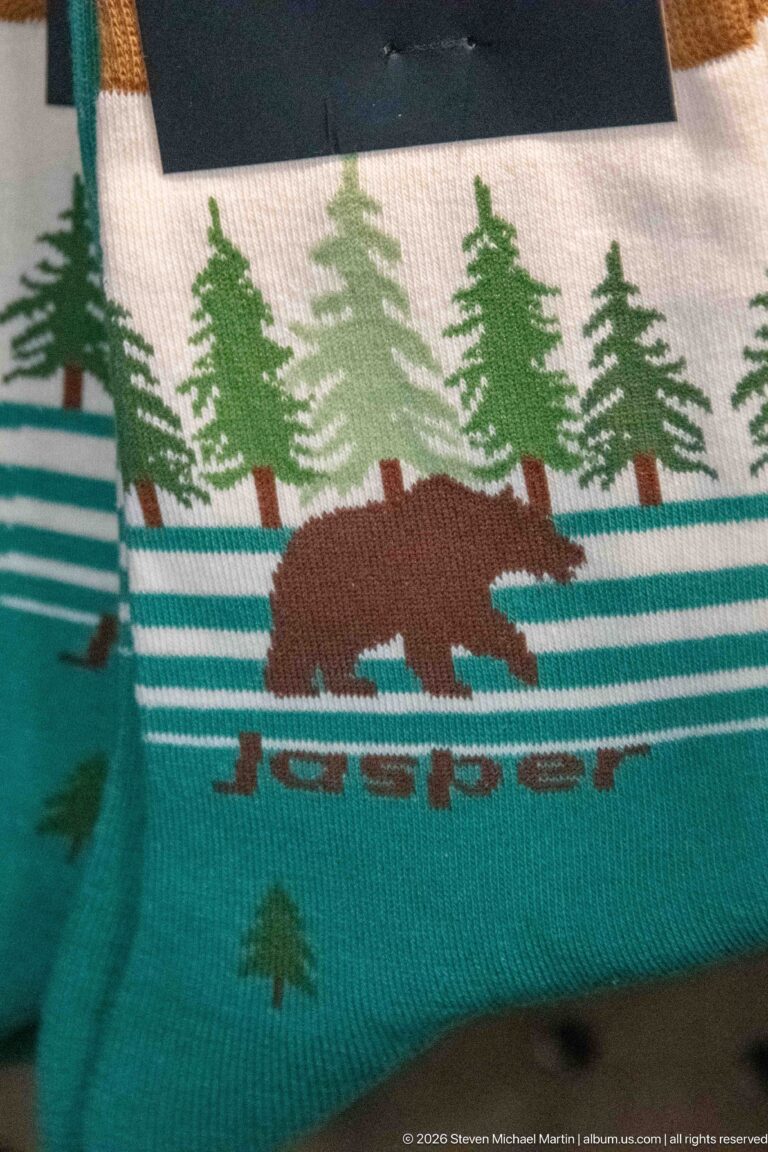 Woven textile detail with a brown bear, stylized green conifers, and turquoise horizontal bands.
