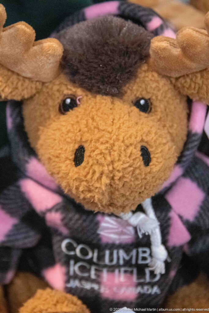 Brown plush moose wearing a black-and-pink garment printed Columbia Icefield.