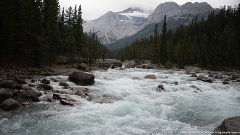 Whitewater fills a boulder-strewn Mistaya River channel, with dense conifers and a large layered mountain in the background.
