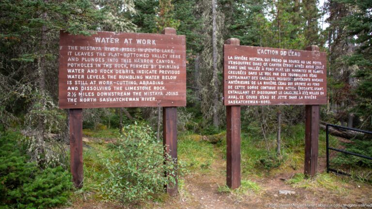 Two brown Water at Work interpretive signs in English and French stand beside a forest path at Mistaya Canyon.
