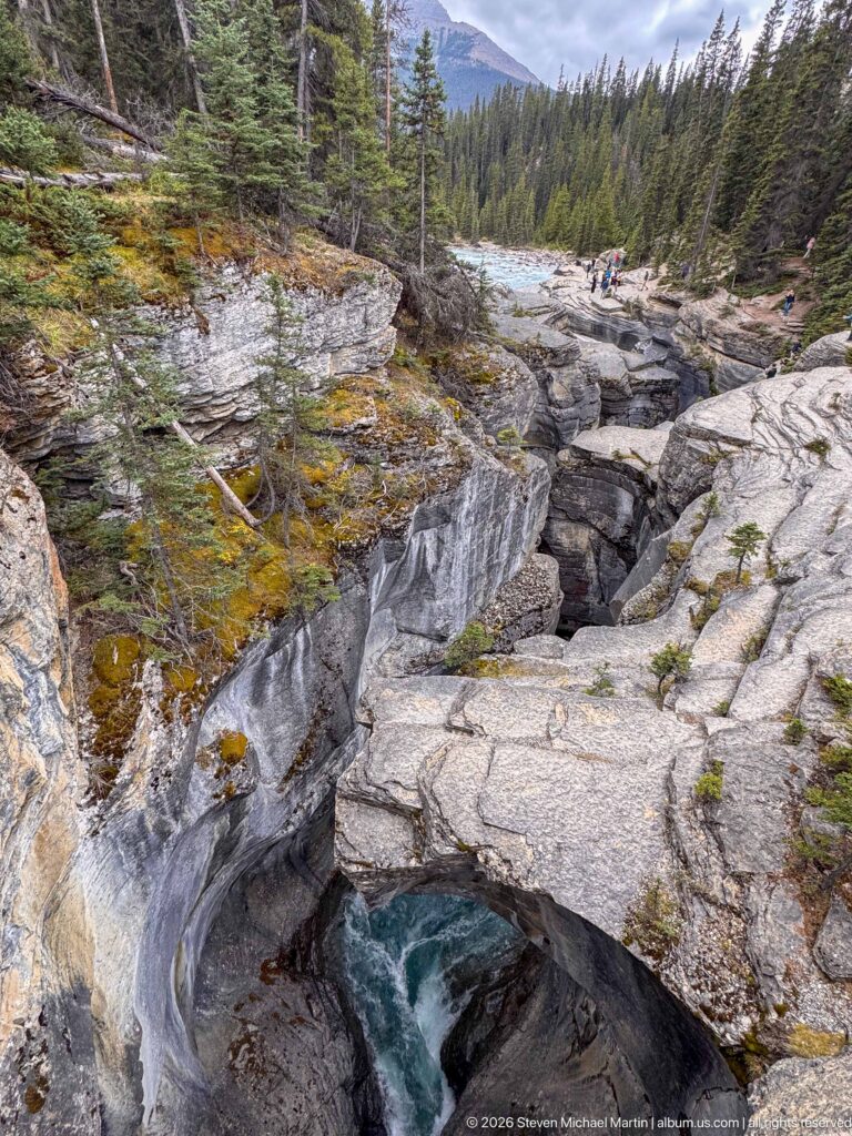 Mistaya River enters a narrow rock gorge below broad pale bedrock slabs, with conifer forest and mountains beyond.