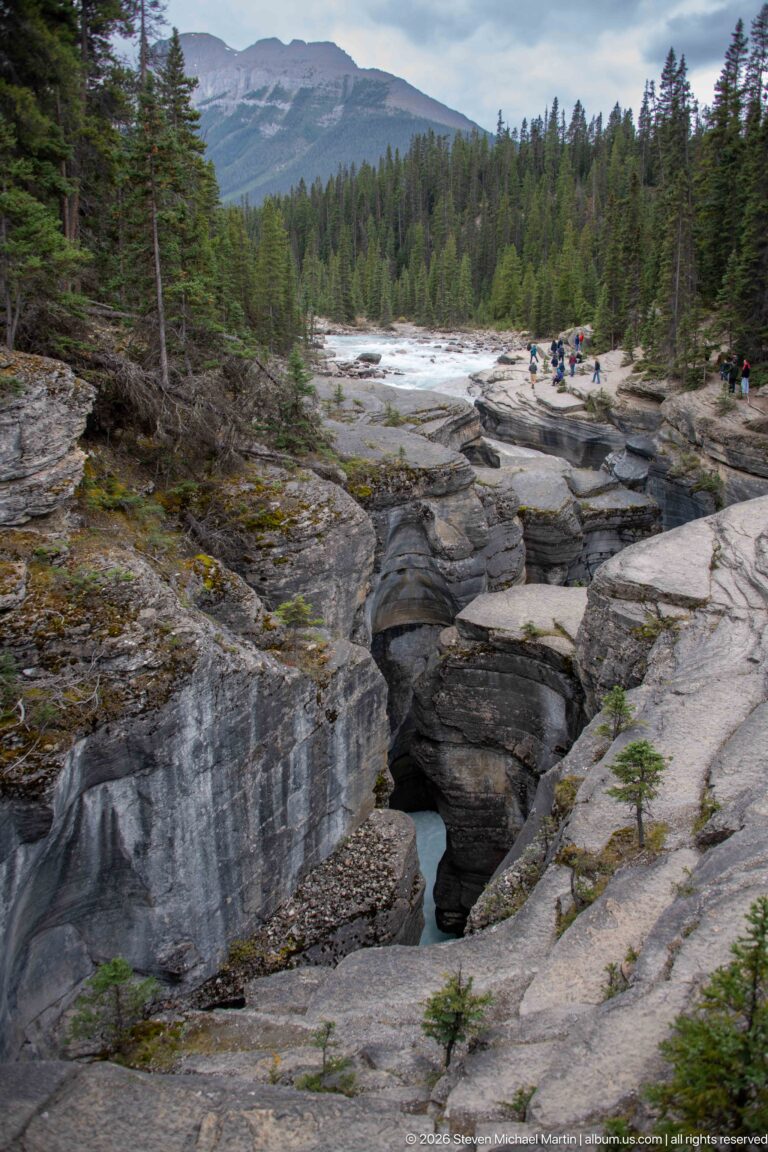 Wide view of Mistaya Canyon's pale rock rim and deep channel, with conifer forest, mountains, and small groups of visitors.