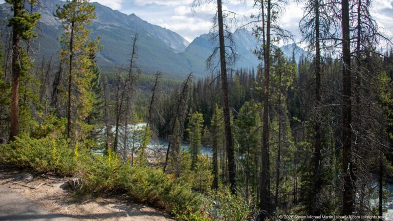 Dirt path through conifer forest with glimpses of turquoise river and steep mountains beyond.