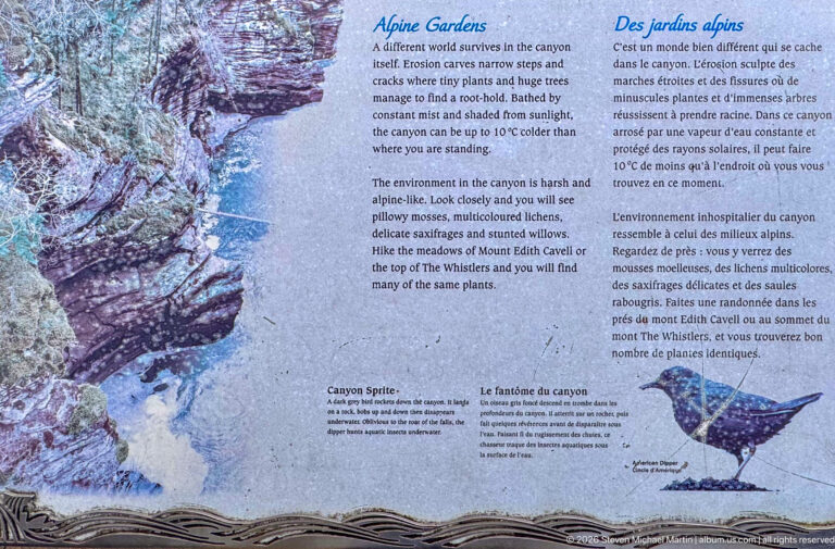 Blue bilingual “Alpine Gardens” panel with canyon imagery, ecological text, and a bird illustration.