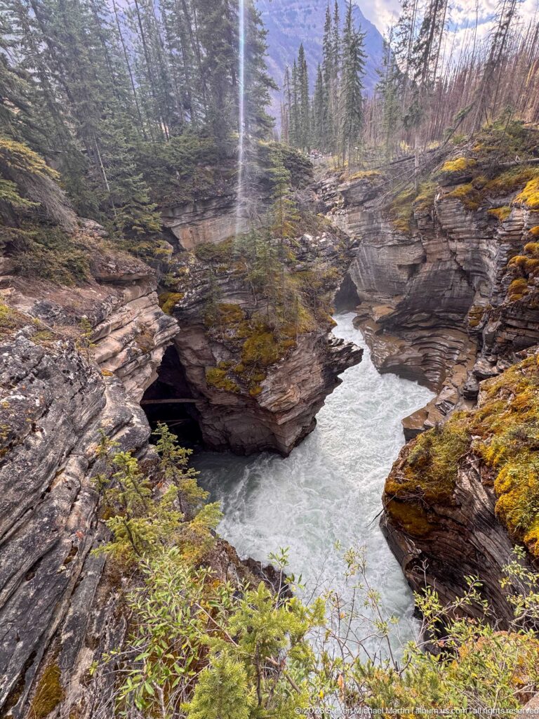 Turquoise river curving through a narrow sculpted rock canyon bordered by moss, shrubs, and conifers.