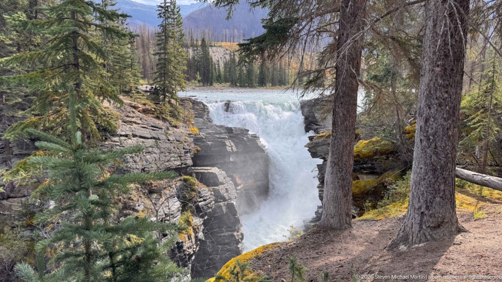 Waterfall plunging through a rocky gorge, partly framed by tall conifer trunks and forest vegetation.