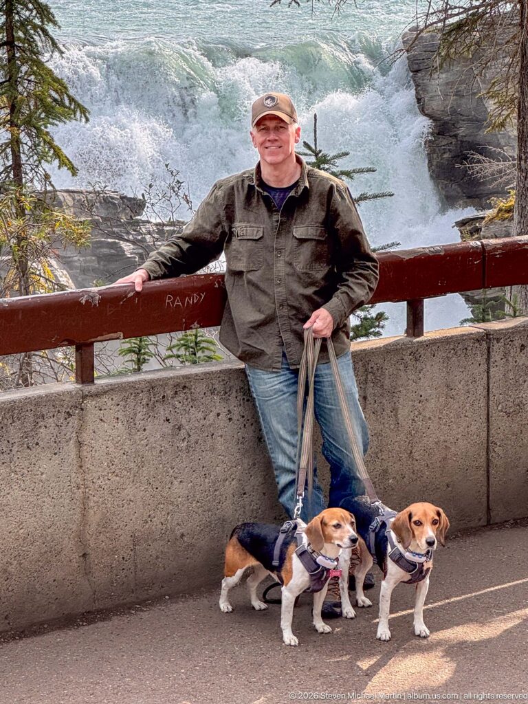 Man standing at a railing with two leashed beagles, whitewater and rock of Athabasca Falls behind them.