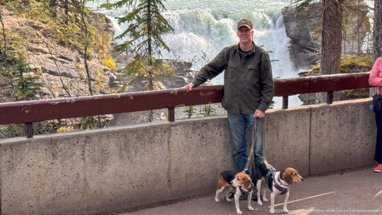 Man holding two leashed beagles beside a timber railing and concrete barrier with whitewater behind.