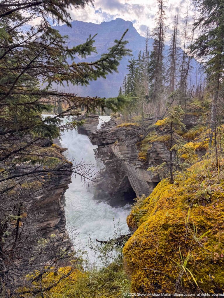 Pale turquoise water winding through a narrow layered-rock canyon bordered by moss and conifer forest.