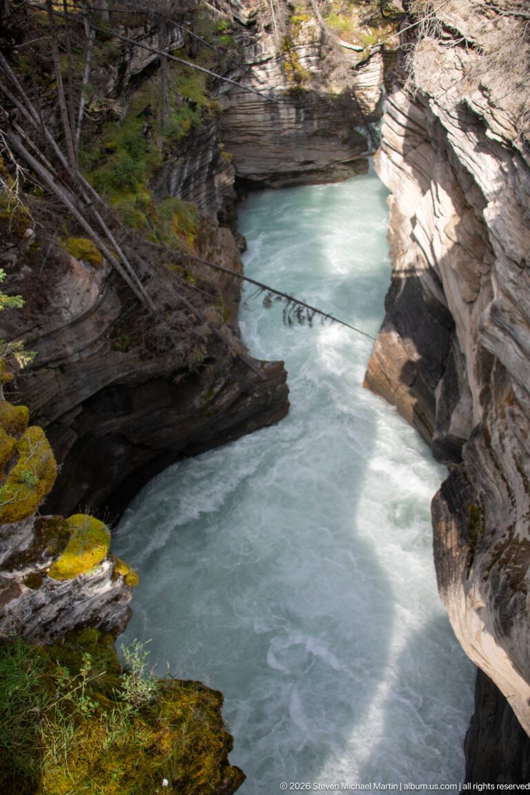 Turquoise river confined between steep layered rock walls, with moss, branches, and forest along the canyon rim.