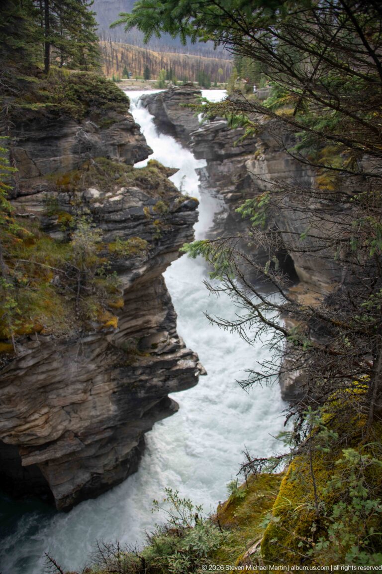 Long view of pale turquoise river winding through a layered rock gorge, framed by conifer branches and moss.