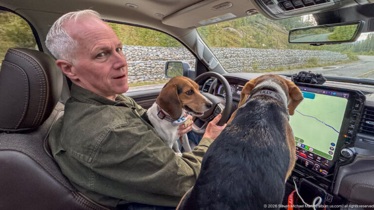 Driver behind the wheel with two beagles beside the center console and a large navigation map display.