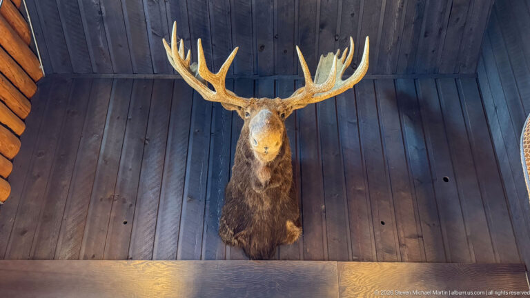 Large dark-furred cervid head mount with broad branching antlers displayed on a dark wooden wall.