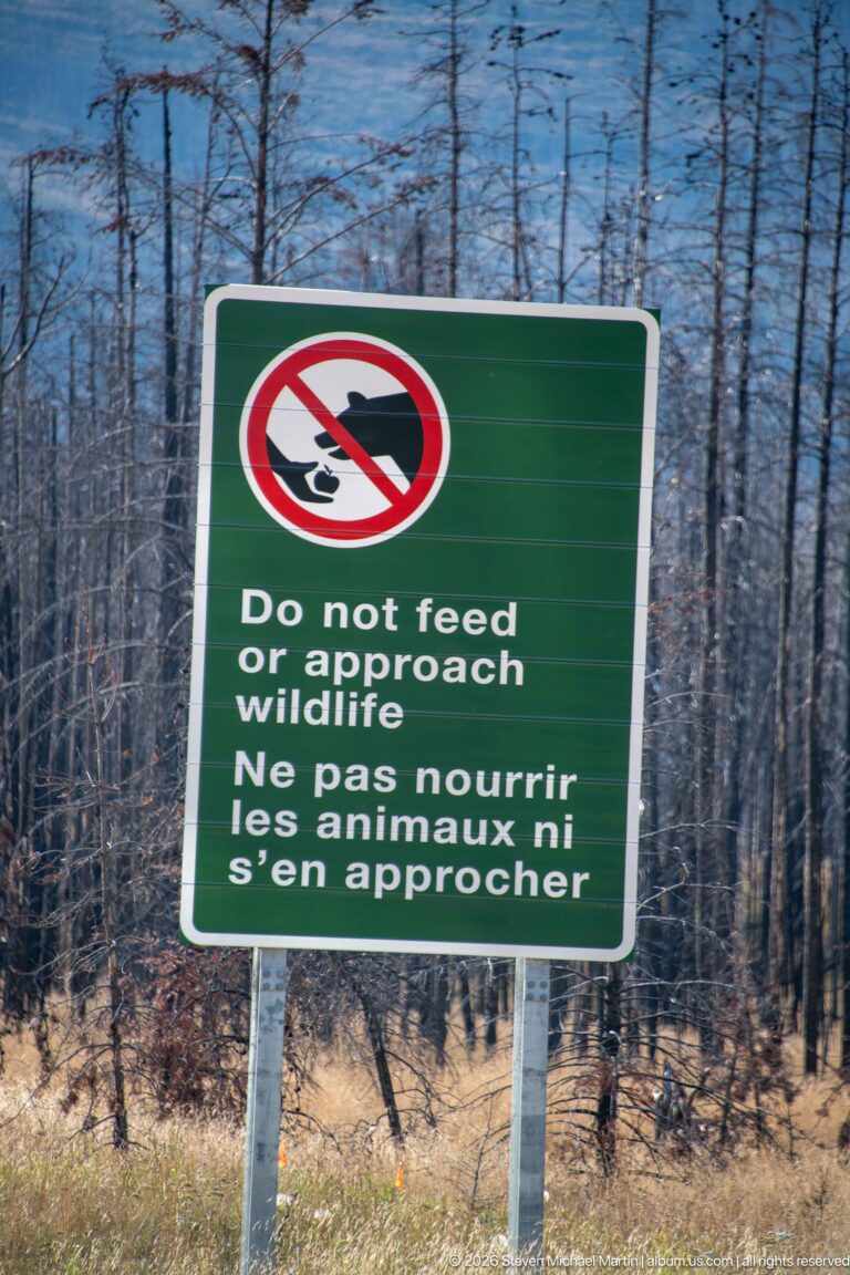 Green bilingual sign reading “Do not feed or approach wildlife” beside a fire-affected forest.