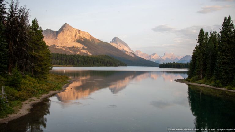 Curving forested shoreline frames calm Maligne Lake and a sunlit mountain reflected in the water.