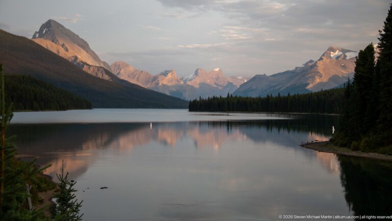 Forested peninsula extending into calm Maligne Lake beneath layered mountains and soft evening reflections.
