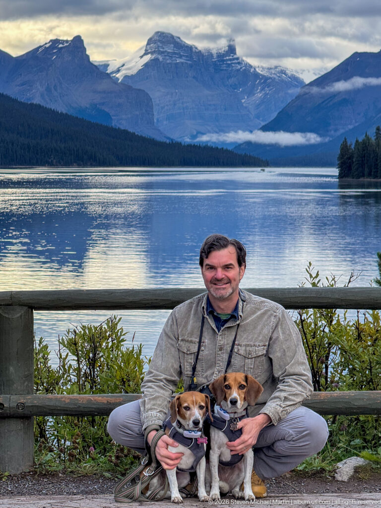 A seated visitor holds two harnessed beagles beside a wooden railing, with a broad mountain lake and layered peaks behind