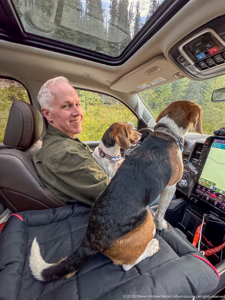 Driver seated inside a vehicle with two beagles gathered across the front seats beside the navigation screen.