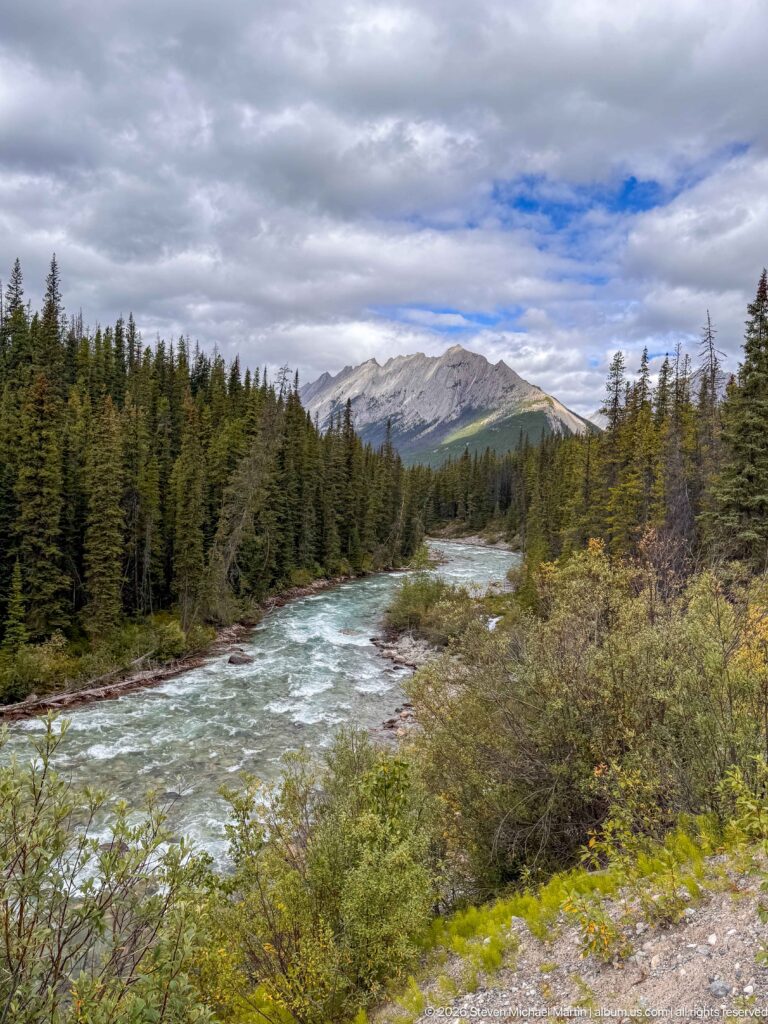 A pale turquoise river runs through conifers and willow-like shrubs toward a distant gray ridge under broken clouds
