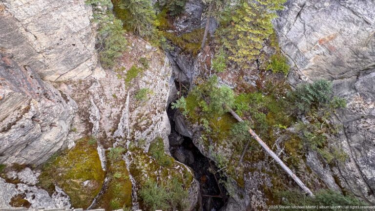 Steep fractured gray rock encloses a narrow shadowed fissure with moss, shrubs, conifers, and fallen wood