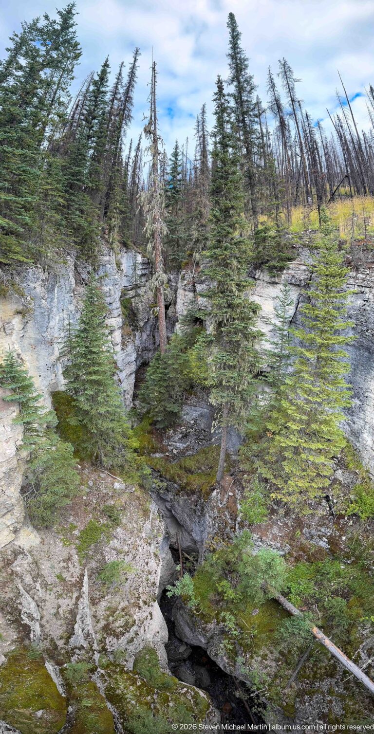 A narrow dark cleft cuts through pale bedrock amid moss, low vegetation, young conifers, and standing dead trees