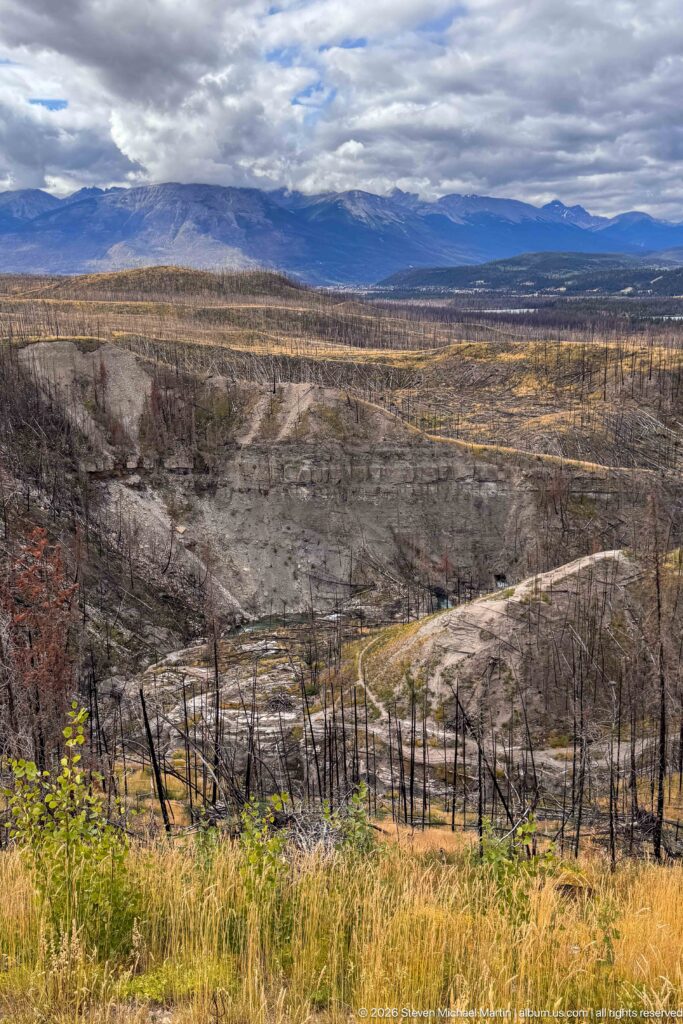 Wide view across a burned valley shows standing dead trees, regenerating vegetation, exposed earth, and layered mountain ridges