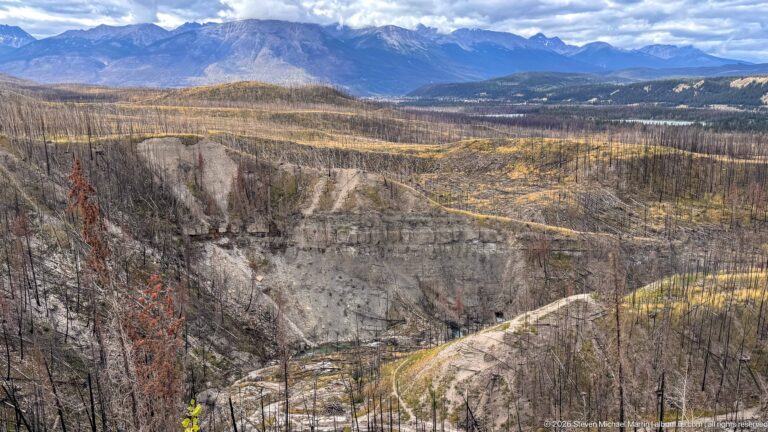 A broad eroded ravine cuts through fire-affected terrain with blackened trees, yellow regrowth, roads, and distant mountains