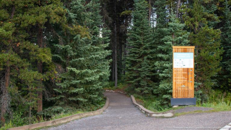 A narrow paved path enters dense conifer forest beside a tall wooden visitor-orientation marker