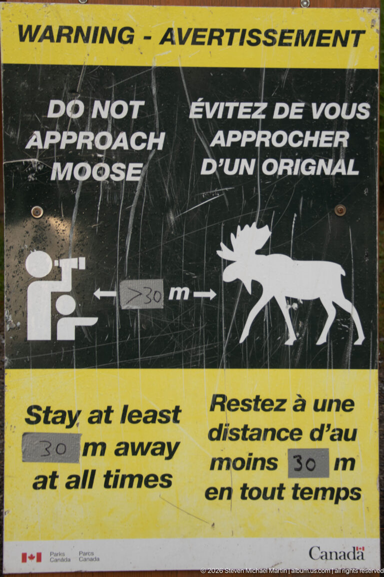 A bilingual Parks Canada warning sign instructs visitors to remain at least 30 metres from moose