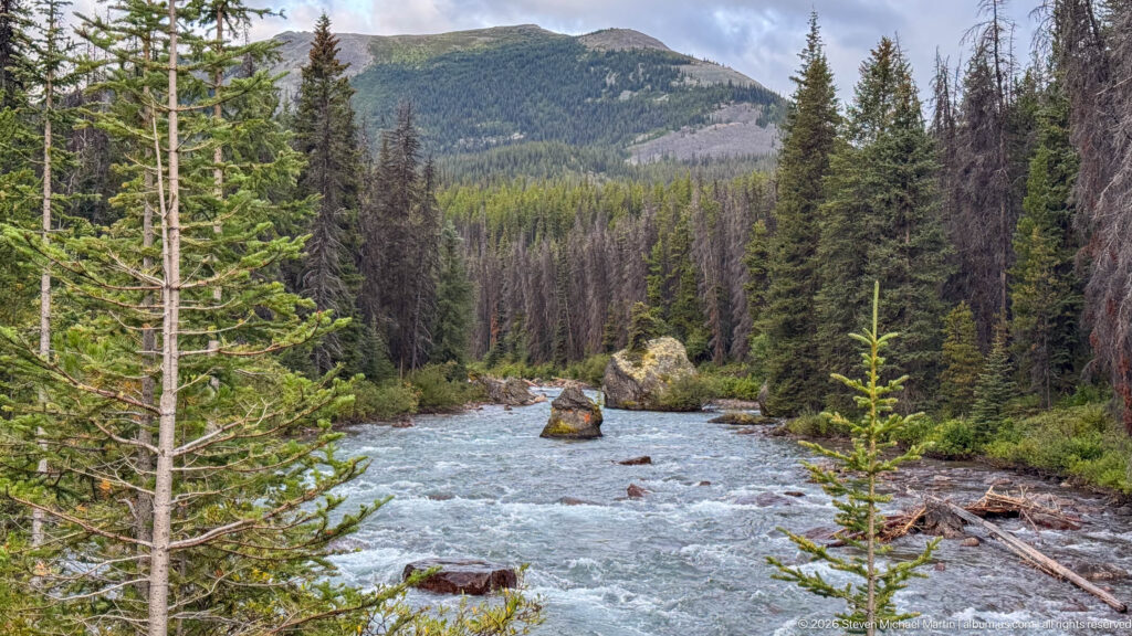 Swift mountain river flowing around a large boulder through conifers, fallen logs, and fire-affected forest.