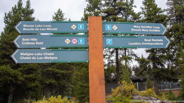 Directional signs point toward Moose Lake Loop, Bald Hills, Mary Schäffer Loop, boat rentals, and Maligne Lake Chalet