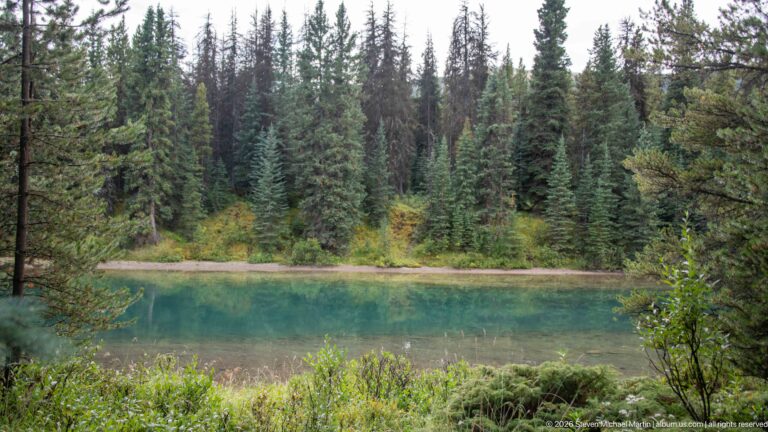 Turquoise water fills a small forest-edged basin surrounded by conifers and shrubs
