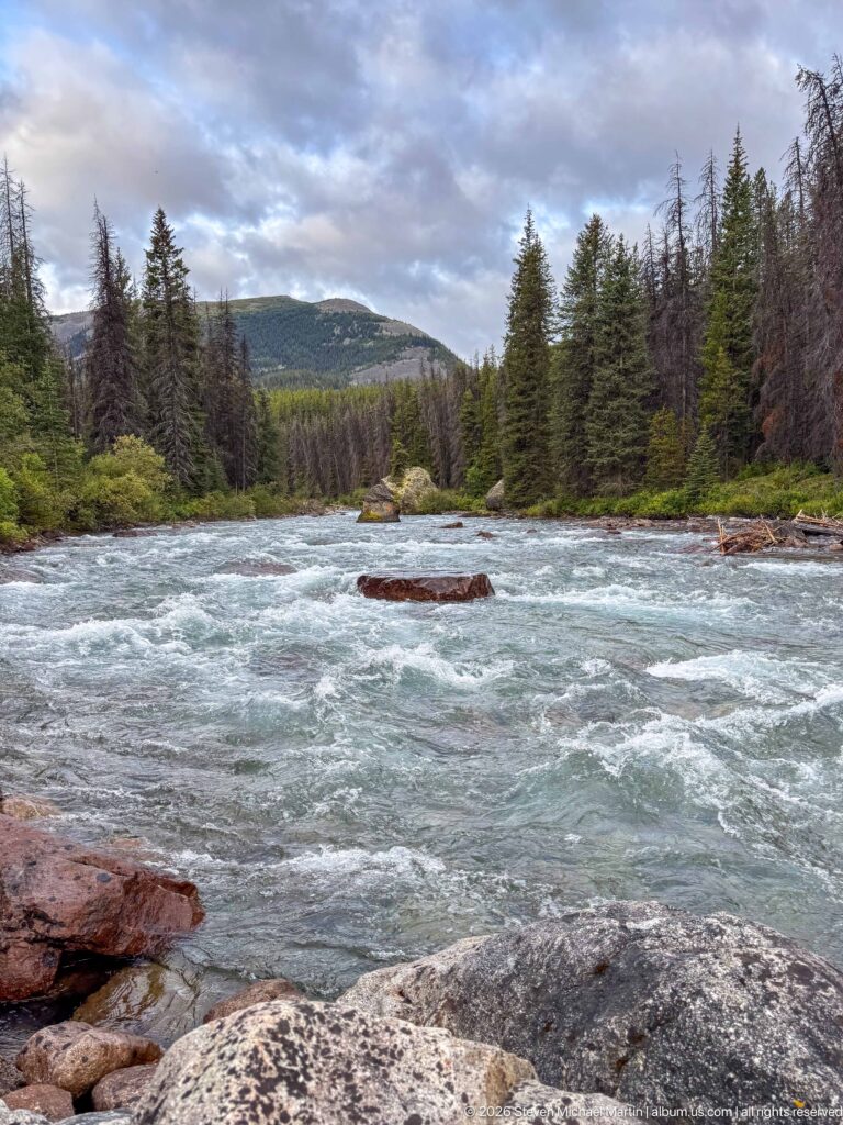 Blue-green river rapids flowing around rocks and logs through conifer forest below a rounded mountain ridge.