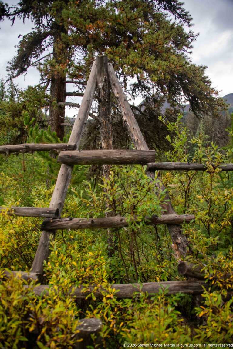 Heavy weathered poles form a triangular fence brace amid dense vegetation