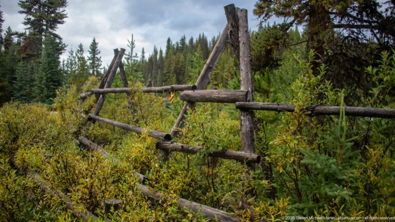 A weathered log-and-pole fence runs through dense shrubs and conifers