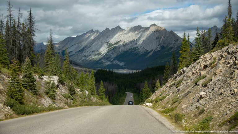 Paved mountain road descending through conifer forest toward steep gray ridges beneath broken clouds.