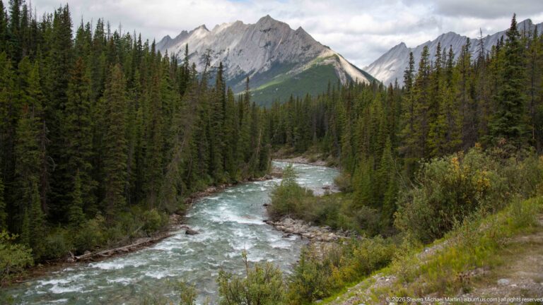 Blue-green Maligne River flowing through dense conifer forest with rocky banks and jagged mountains beyond.