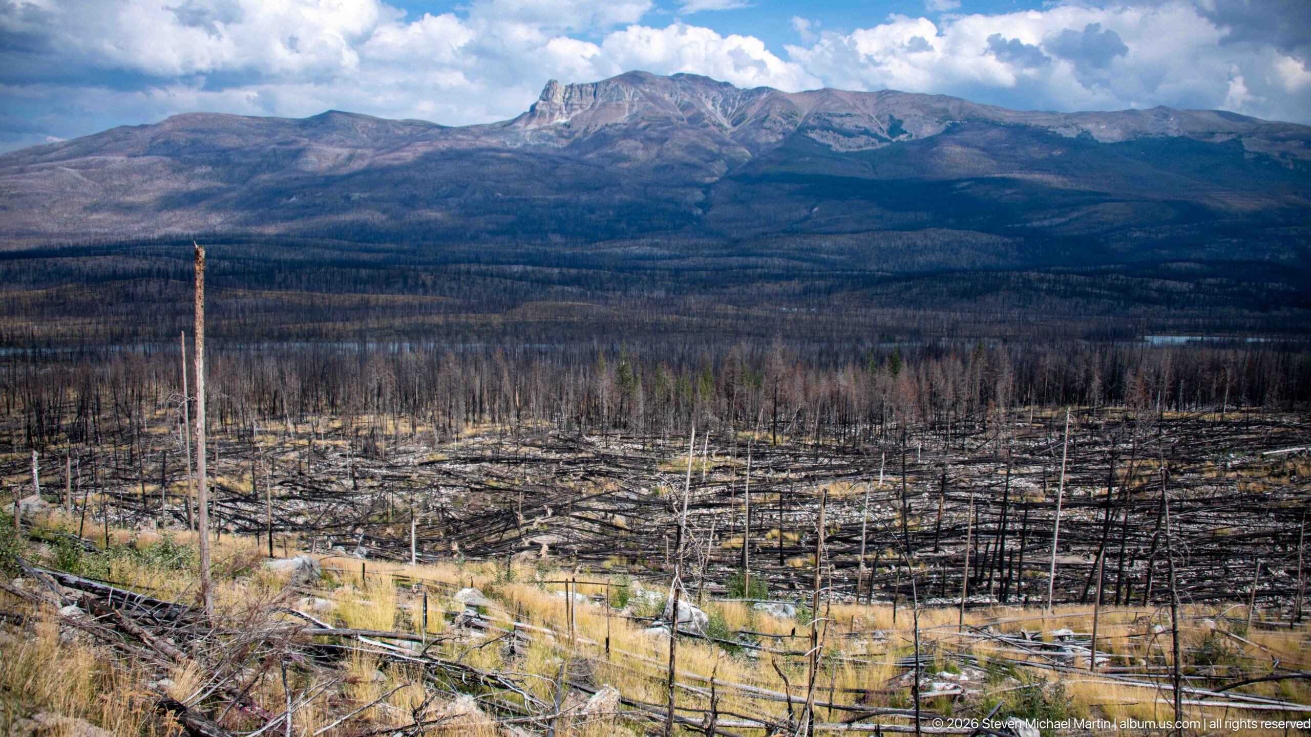 Rugged mountain massif above an extensive burned forest of standing and fallen trunks with patches of golden regrowth.