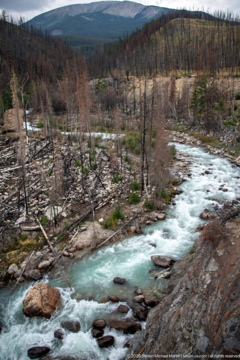 Turquoise whitewater river flowing among boulders through burned forest with fallen logs and sparse regrowth.