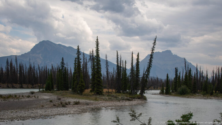 Pale river splitting around a gravel island with conifers, backed by burned forest and rugged mountains.