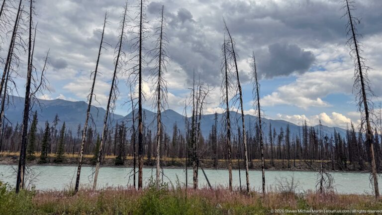 Standing burned tree trunks beside a pale turquoise river, with mountain ridges and broken clouds in the distance.