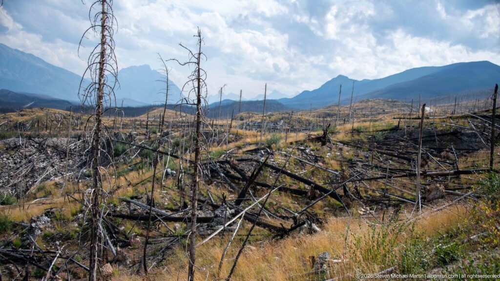 Wide burned valley with standing snags, fallen logs, golden regrowth, and layered mountain ridges beneath broken clouds.