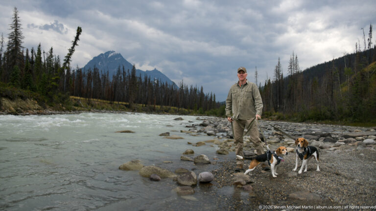 Visitor and two beagles on a broad rocky riverbank beneath dark clouds, with burned forest and mountains beyond.