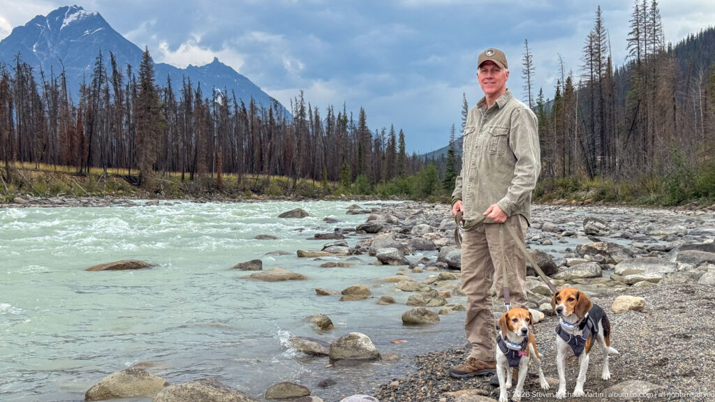 Visitor standing with two beagles beside a fast turquoise river, with burned forest and mountains in the background.