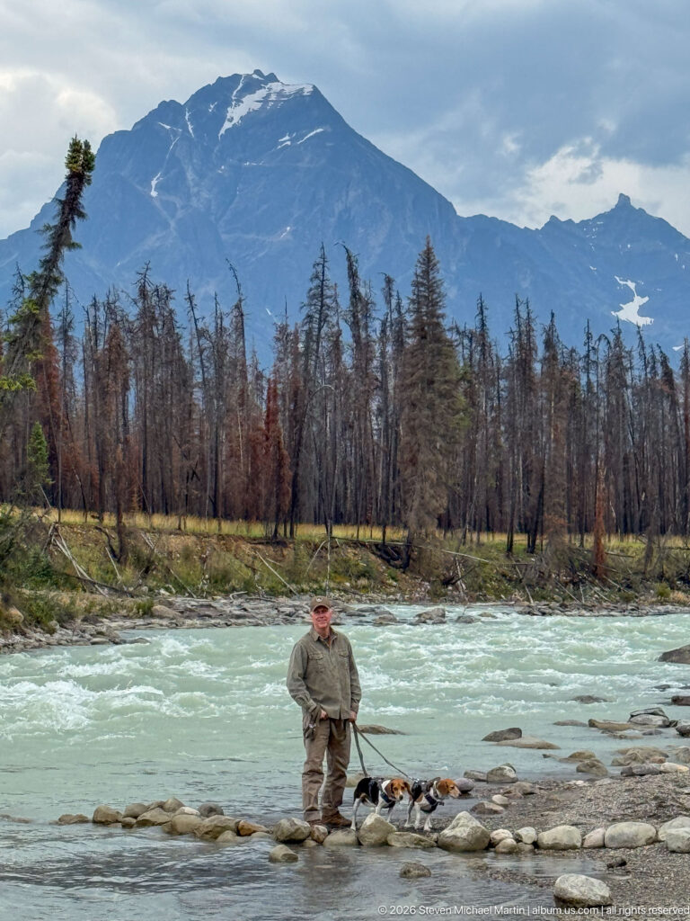 Visitor with two beagles on a rocky turquoise riverbank, with burned forest and a large mountain ridge behind.