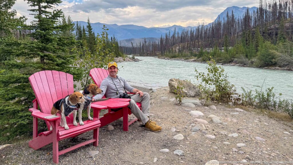 Visitor with two beagles at red Adirondack chairs beside a pale mountain river and fire-scarred forest.