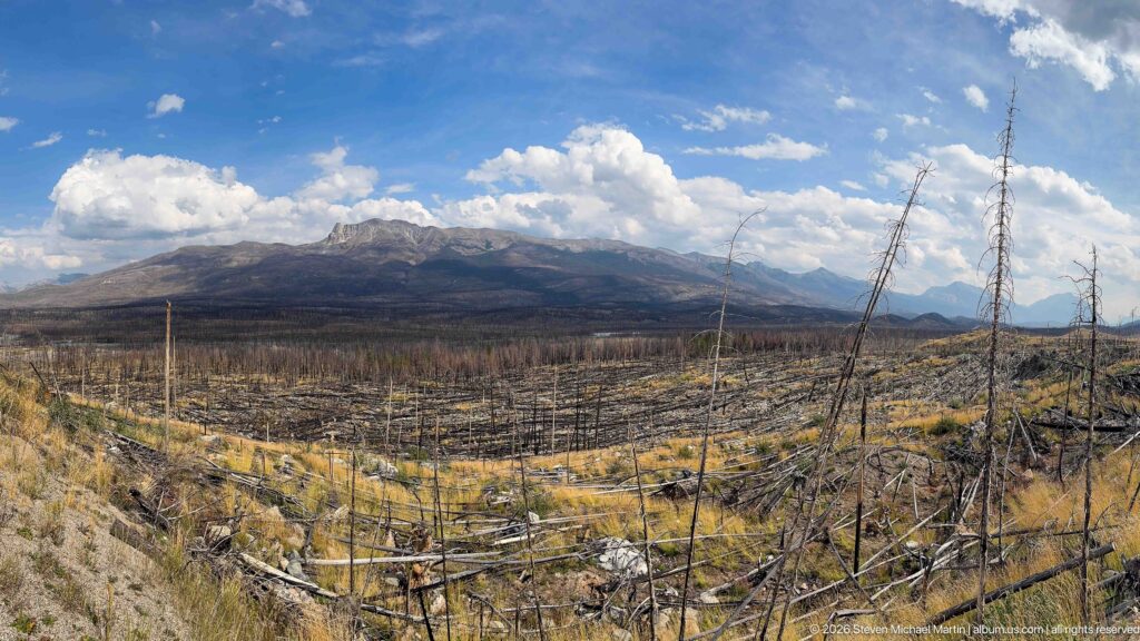 Broad burned valley with fallen trunks and tall snags below a rugged mountain ridge and bright blue, cloud-filled sky.