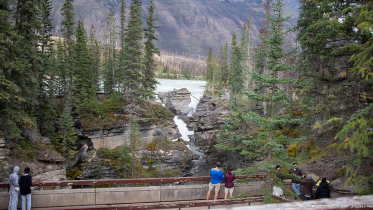 Visitors at a railing overlooking a narrow rocky gorge where white water drops between forested rock walls.